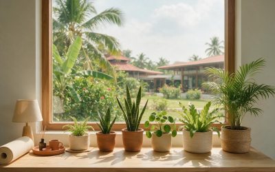 Is Manjeri Actually Becoming a Tech Hub? What the Job Postings and Company Registrations Show